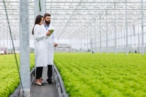 two-researches-man-woman-examine-greenery-with-tablet-all-white-greenhouse_8353-7141.jpg