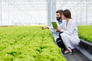 two-researches-man-woman-examine-greenery-with-tablet-all-white-greenhouse_8353-7179.jpg